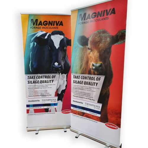 Lallemend Roller Banner 1