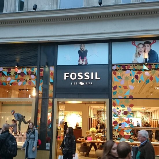 Fossil Christmas Display