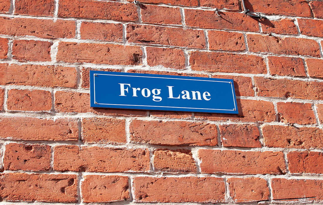 frog lane DSC 8083